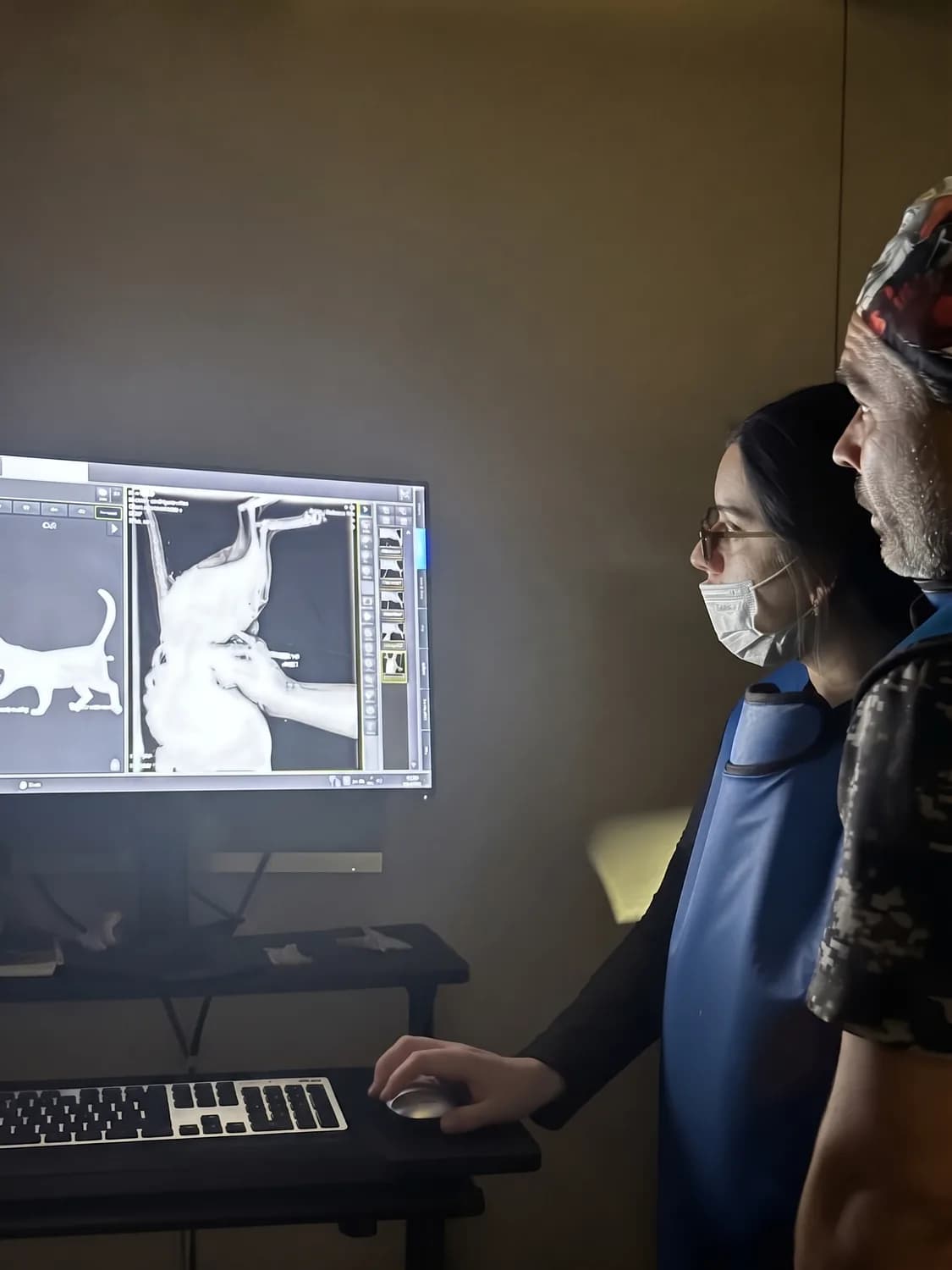 Equipo de TopCat revisando la radiografía de un gato en la clínica